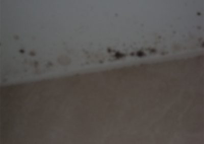 Air Tightness Testing & Thermal Imaging Kildare Mould buildup on ceiling due to condensation